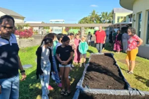 photo du potager de l'école du centre