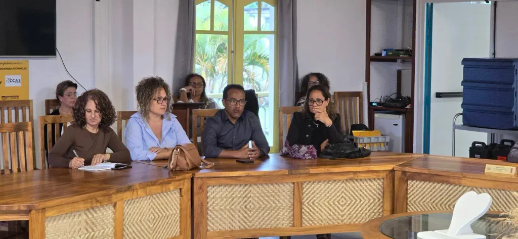 présence autour de la table de l'élu délégué au CME et à Erasmus, de l’élue déléguée aux Affaires scolaires, du service des Affaires scolaires et du représentant de l’Inspectrice de l’académie pour l’arrondissement Saint-Philippe/Saint-Joseph